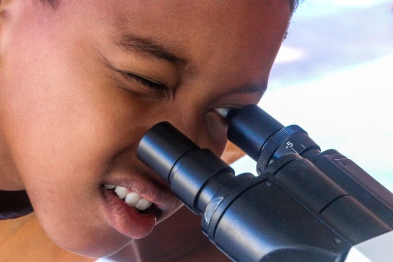 Celebrando o mês do Meio Ambiente, Alcobaça promove a 2° edição da Feira Ambiental 5 2a Feira Ambiental de Alcobaca 2